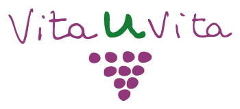 Amantes del vino especializados en Catas y Enoturismo